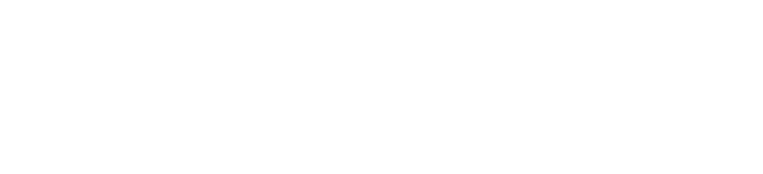 LogicForge text logo